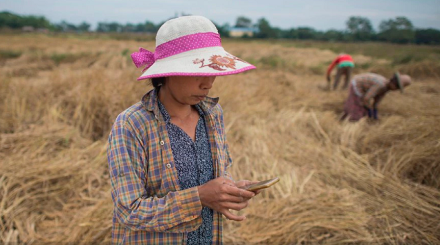 farmer san san hla using a mobile app as she works in a rice field on the outskirts of yangon a free app on san san hla 039 s smartphone is her new weapon in the war against the dreaded stem borer moth that blighted her rice paddy in southern myanmar for the last two years new smartphone apps are providing farmers with up to date information on everything from weather climate change crop prices to advice on pesticides and fertilisers photo afp