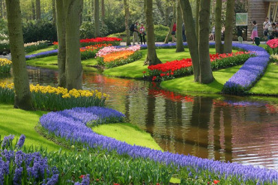 clean and green govt to establish dubai like gardens clean and green govt to establish dubai like gardens