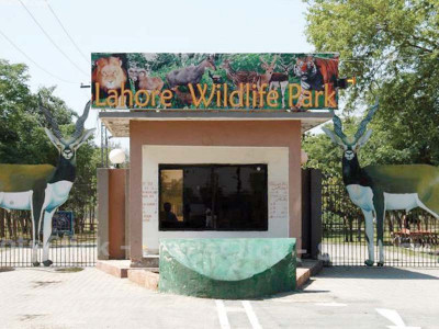 lahore zoo safari no longer a wildlife haven lahore zoo safari no longer a wildlife haven