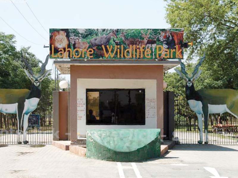 lahore safari park location