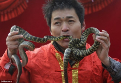 when in china wear hello kitty and eat snakes when in china wear hello kitty and eat snakes