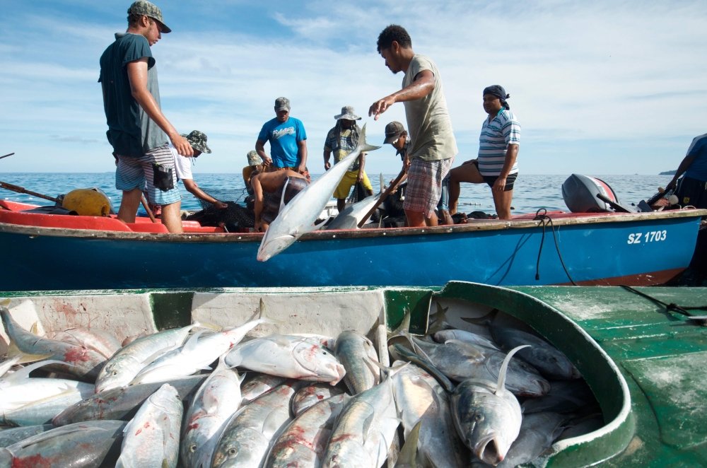 large vessels are fishing 55 per cent of world s oceans