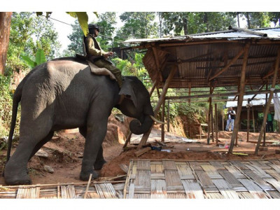 india evicting 30 people an hour as cities modernise