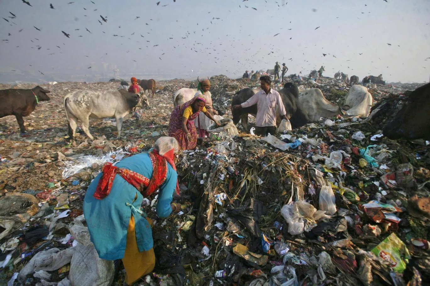 waste collectors search for recyclable material at the ghazipur landfill in new delhi photo reuters waste collectors search for recyclable material at the ghazipur landfill in new delhi photo reuters