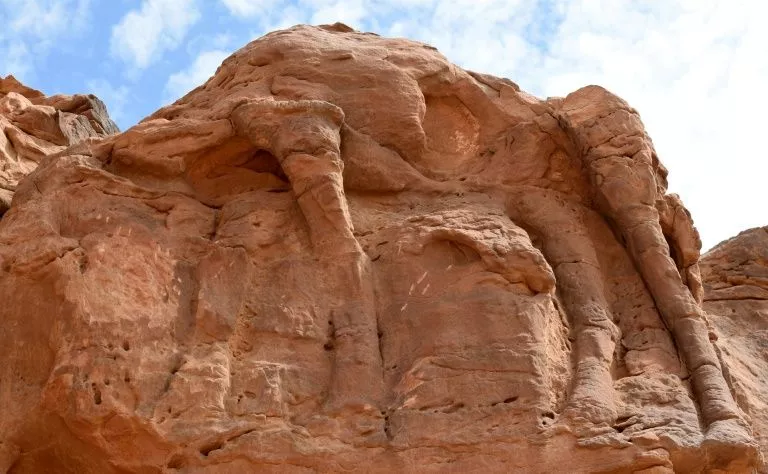 this may potentially change our understanding of prehistoric population dynamics and cultural traits photo afp this may potentially change our understanding of prehistoric population dynamics and cultural traits photo afp