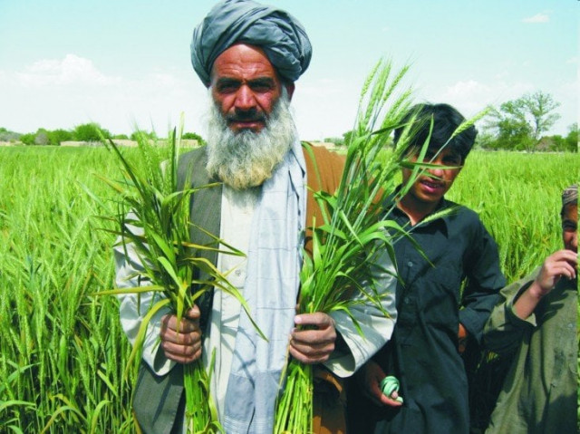 agriculture training institute in quetta is being strengthened at a cost of rs500 million photo courtesy https www usaid gov pakistan economic growth agriculture