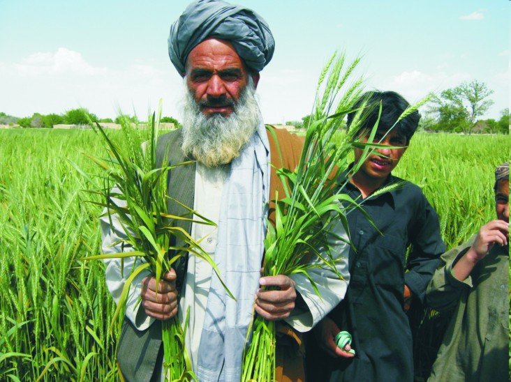 agriculture training institute in quetta is being strengthened at a cost of rs500 million photo courtesy https www usaid gov pakistan economic growth agriculture