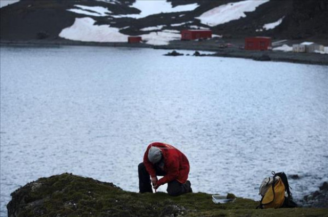 a scientist takes soil samples near spain 039 s juan carlos i base in the south shetland islands located on antarctica 039 s northern tip photo courtesy efe a scientist takes soil samples near spain 039 s juan carlos i base in the south shetland islands located on antarctica 039 s northern tip photo courtesy efe