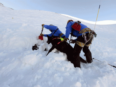 four dead in french alps avalanche four dead in french alps avalanche