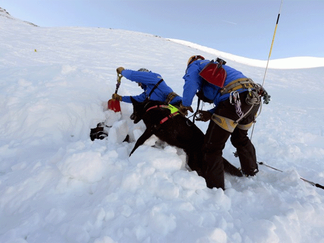 four dead in french alp avalanche photo afp four dead in french alp avalanche photo afp