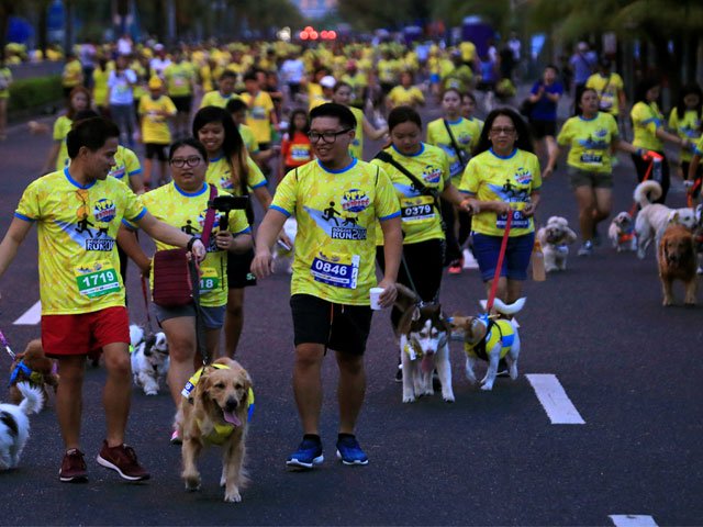 dog walk for a cause photo reuters