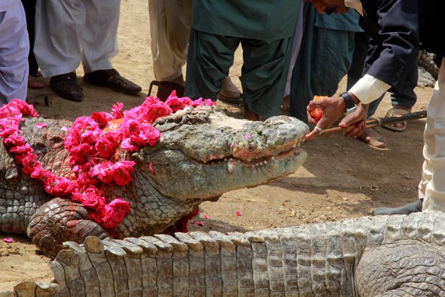 the festival restarted last year after a hiatus of seven years due to security concerns photo athar khan