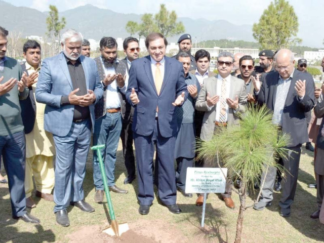 climate change minister mushahidullah khan plants a tree at d chowk photo mudassar raja express climate change minister mushahidullah khan plants a tree at d chowk photo mudassar raja express