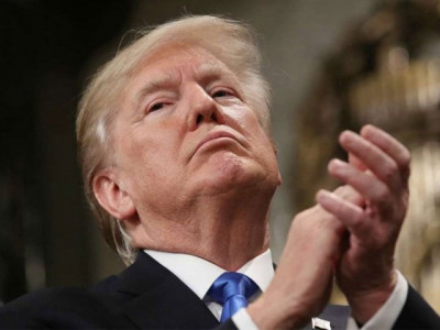 trump peace efforts like herding cows to slaughter palestinian official