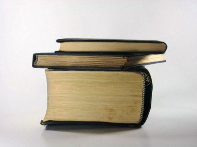 ghazali of subcontinent shah waliullah was a modern social reformer