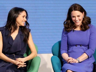 tedit reports tedit reports