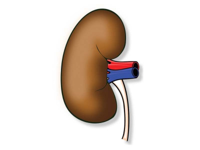 vicious circle poverty forcing people to sell organs vicious circle poverty forcing people to sell organs