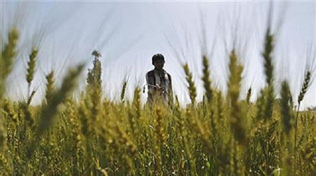 urea photo reuters urea photo reuters