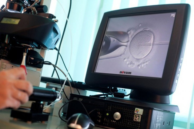 doctor katarzyna koziol injects sperm directly into an egg during in vitro fertilization ivf procedure called intracytoplasmic sperm injection icsi at novum clinic in warsaw poland photo reuters doctor katarzyna koziol injects sperm directly into an egg during in vitro fertilization ivf procedure called intracytoplasmic sperm injection icsi at novum clinic in warsaw poland photo reuters