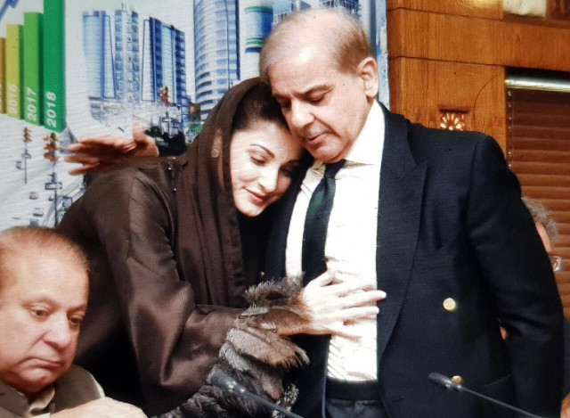 photo pml n official photo pml n official