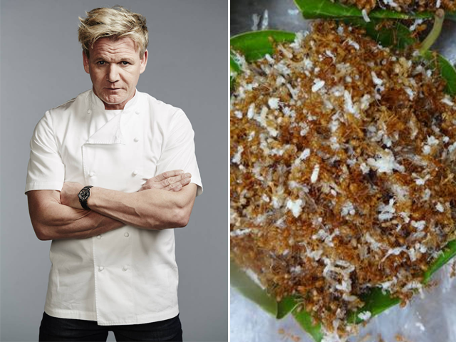 India's red-ant chutney makes it to celeb-chef Gordon Ramsay's new menu
