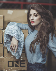 indian officials push ban on pakistani artists indian officials push ban on pakistani artists