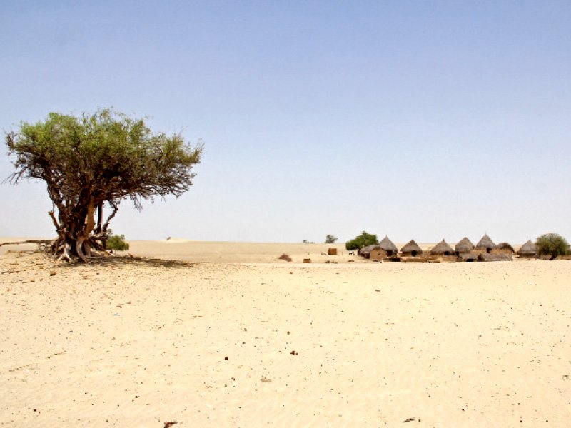 a view of thar desert photo express file