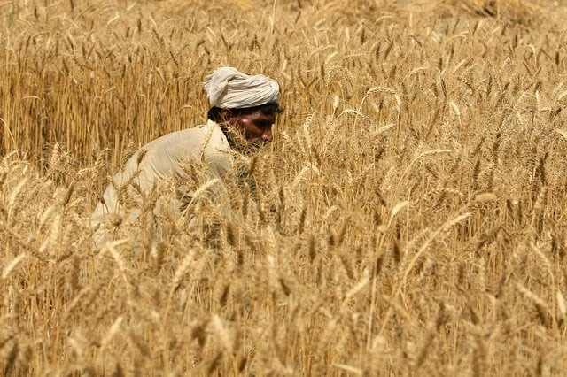 the apps will provide advice on how to improve crops and show the weather conditions in real time photo reuters