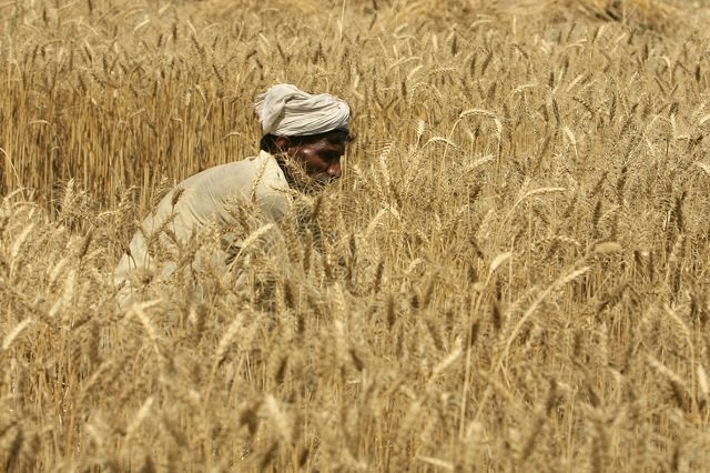 the apps will provide advice on how to improve crops and show the weather conditions in real time photo reuters