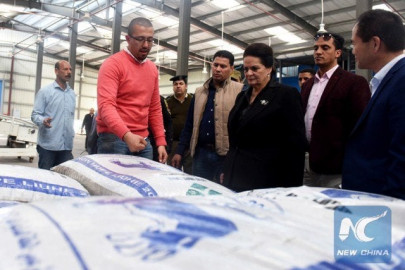 china s agribusiness giant new hope expands in egypt amid growing sino egyptian ties china s agribusiness giant new hope expands in egypt amid growing sino egyptian ties