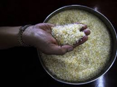 trade deal pakistan set to become member of hybrid rice seed exporting club