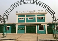 phc seeks five year audit of zoos wildlife parks phc seeks five year audit of zoos wildlife parks
