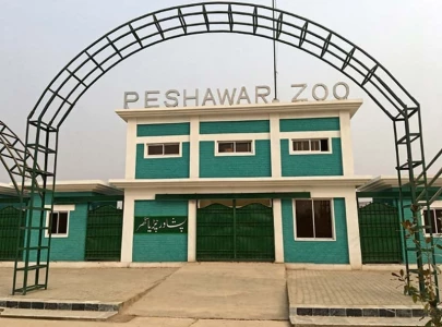 phc seeks five year audit of zoos wildlife parks phc seeks five year audit of zoos wildlife parks