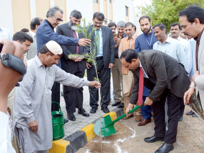 uaf vice chancellor plants a sapling to mark international day of forests photo uaf