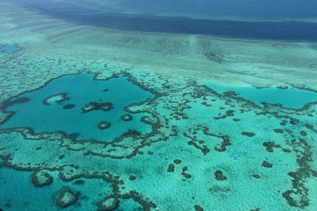 the world heritage listed great barrier reef attracts millions of tourists each year photo afp