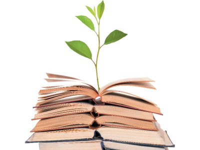 bise papers on schedule for today bise papers on schedule for today