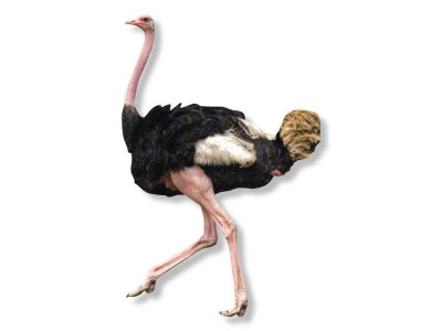 ostrich meat outlet opens in faisalabad