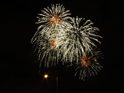 state sponsored business community supports spring fest