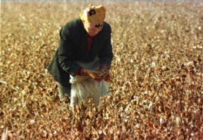 china to spend 300m on improved irrigation in southern xinjiang china to spend 300m on improved irrigation in southern xinjiang