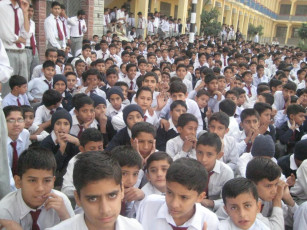 Students Of Model Schools Shine In Primary Exam