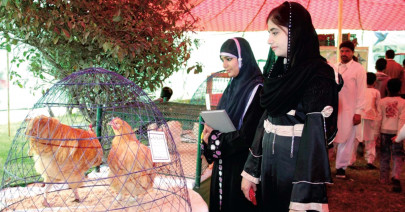 icta spring festival opens april 6