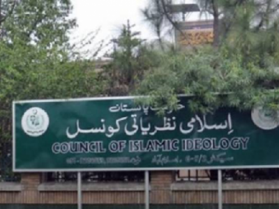 cii proposed government to enact legislation paigam e pakistan fatwa cii proposed government to enact legislation paigam e pakistan fatwa