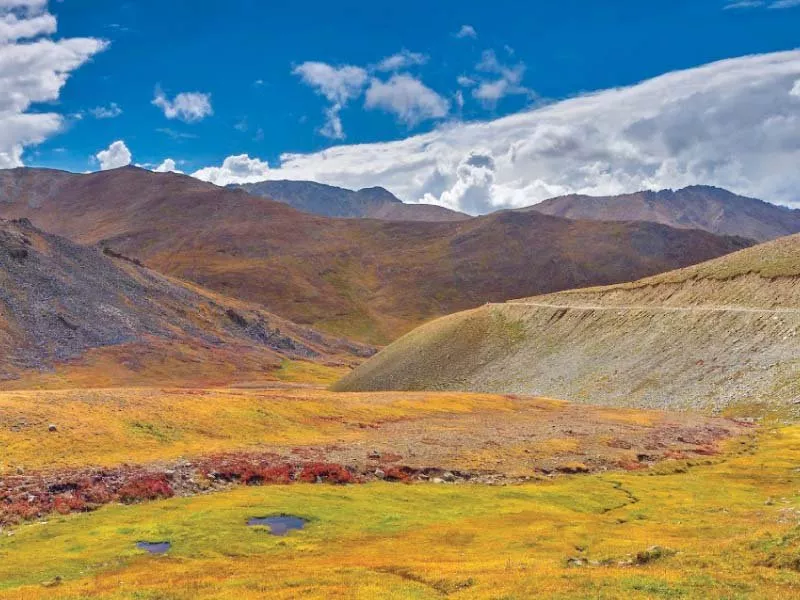 images form the book colours of deosai photo express images form the book colours of deosai photo express