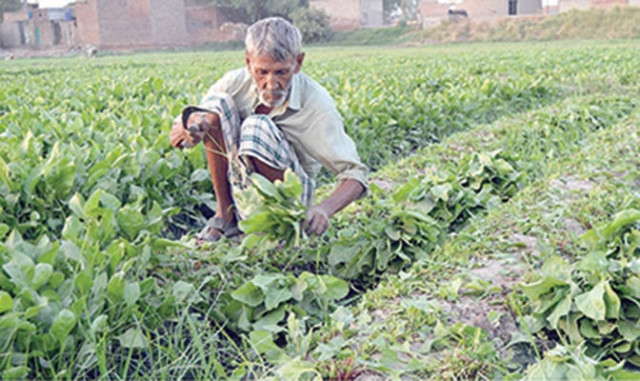 farmers soon to get machinery farmers soon to get machinery