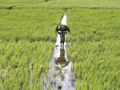 gas supply fertiliser industry demands cut in tax on feedstock