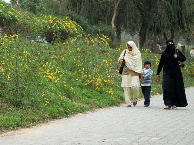 as climate change shortens springtime pollen allergy problems are skyrocketing photo express