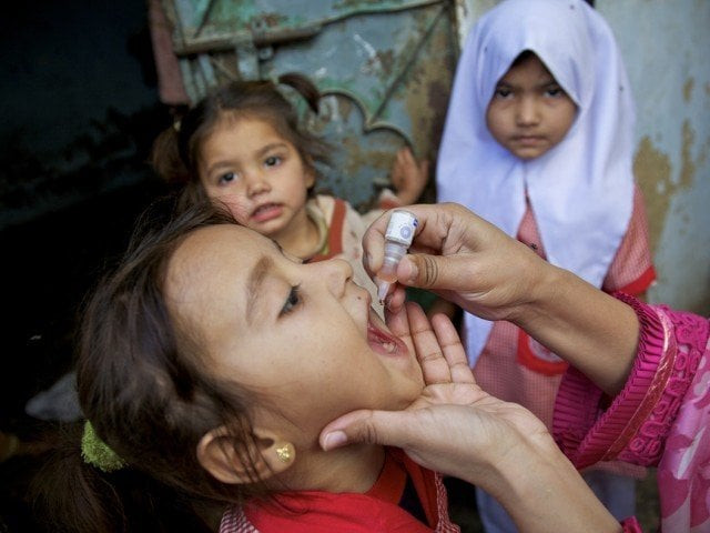 photo courtesy cdc