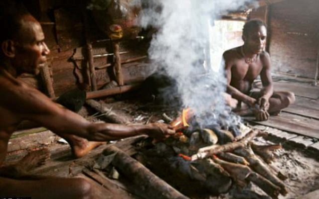 he bbc admitted that a scene in its human planet series inaccurately portrayed the lives of members of a community in papa new guinea korowai tribe told a bbc crew they created houses exclusively for the series photo daily mail