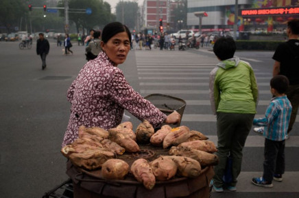 how sweet potatos seen here hauled by a street vendor in bejing spread from south america to polynesia centuries ago is the subject of a new study that concludes that wind borne seeds is the likely explanation photo afp