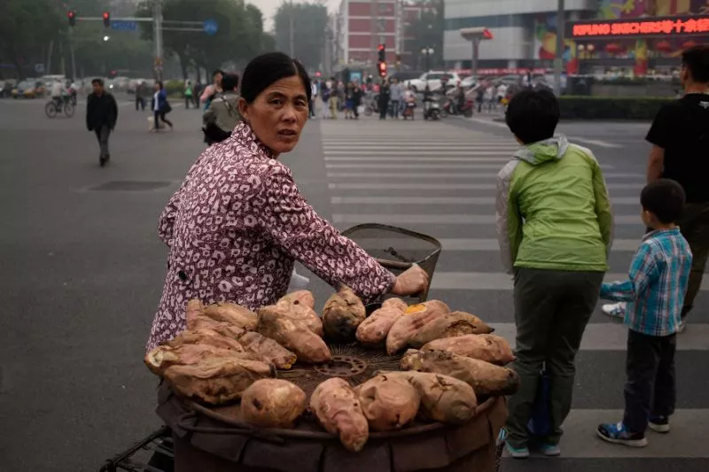 how sweet potatos seen here hauled by a street vendor in bejing spread from south america to polynesia centuries ago is the subject of a new study that concludes that wind borne seeds is the likely explanation photo afp how sweet potatos seen here hauled by a street vendor in bejing spread from south america to polynesia centuries ago is the subject of a new study that concludes that wind borne seeds is the likely explanation photo afp